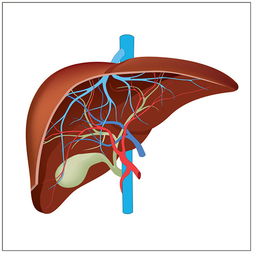 Cancer Surgery Clinic