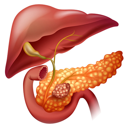 Cancer Surgery Clinic